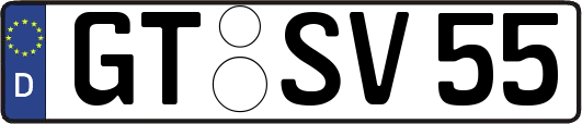 GT-SV55