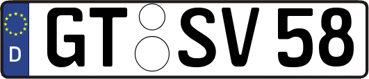 GT-SV58