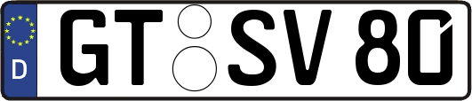 GT-SV80