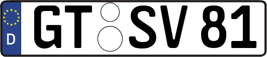 GT-SV81