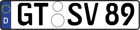 GT-SV89