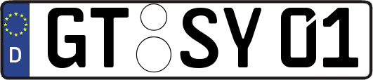 GT-SY01