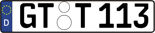 GT-T113