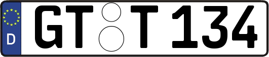 GT-T134