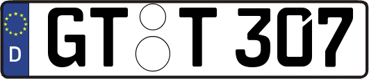 GT-T307