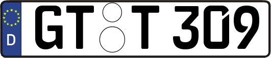 GT-T309