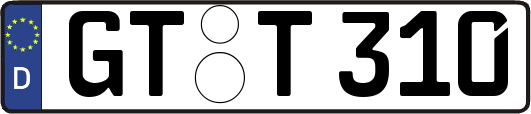 GT-T310