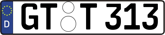 GT-T313