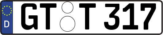 GT-T317