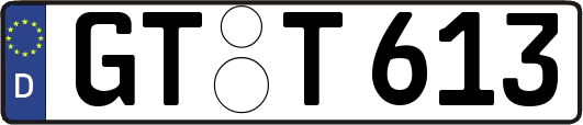 GT-T613