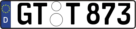GT-T873