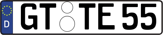 GT-TE55