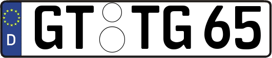 GT-TG65
