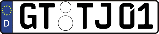 GT-TJ01