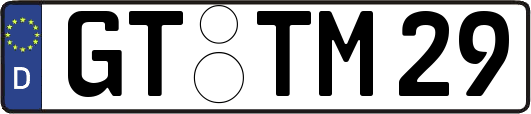 GT-TM29