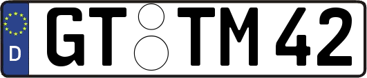 GT-TM42