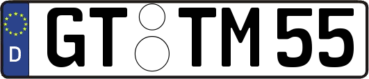 GT-TM55