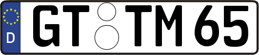 GT-TM65