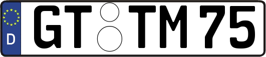 GT-TM75