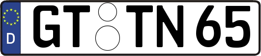 GT-TN65