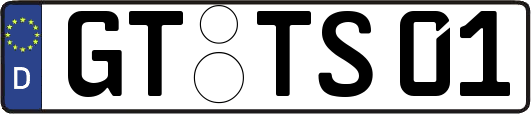 GT-TS01