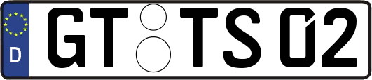GT-TS02