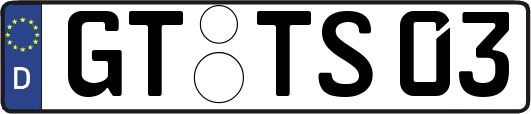 GT-TS03