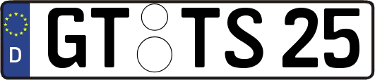 GT-TS25