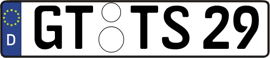 GT-TS29