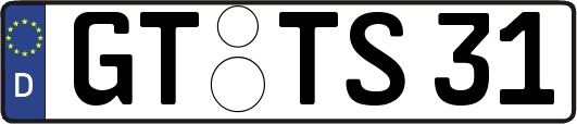 GT-TS31
