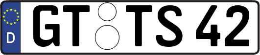 GT-TS42