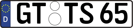 GT-TS65