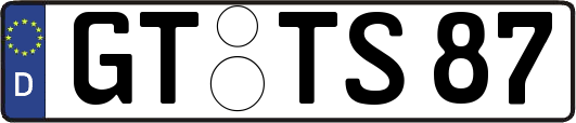 GT-TS87