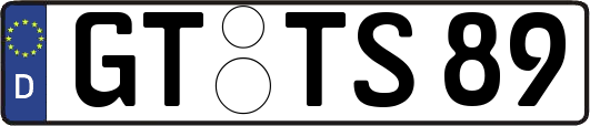 GT-TS89