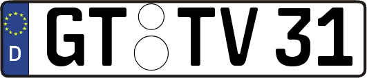 GT-TV31