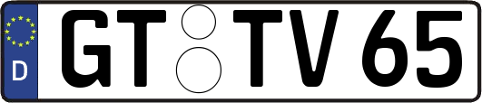GT-TV65