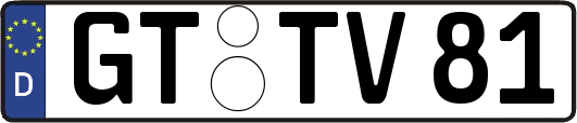 GT-TV81