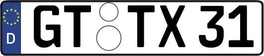GT-TX31