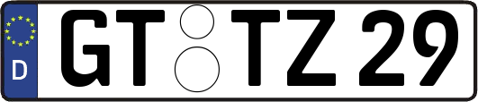 GT-TZ29