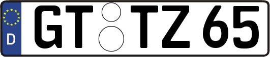 GT-TZ65