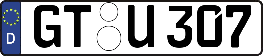 GT-U307