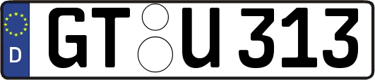 GT-U313