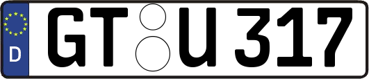 GT-U317