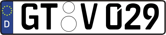 GT-V029