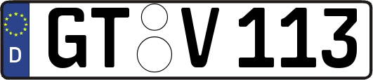 GT-V113