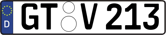 GT-V213