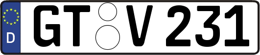 GT-V231