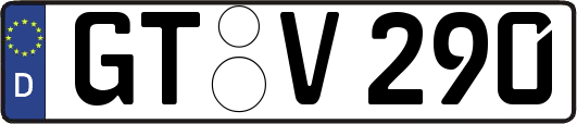 GT-V290