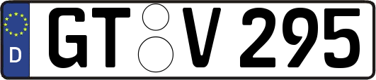 GT-V295