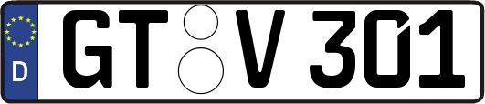 GT-V301